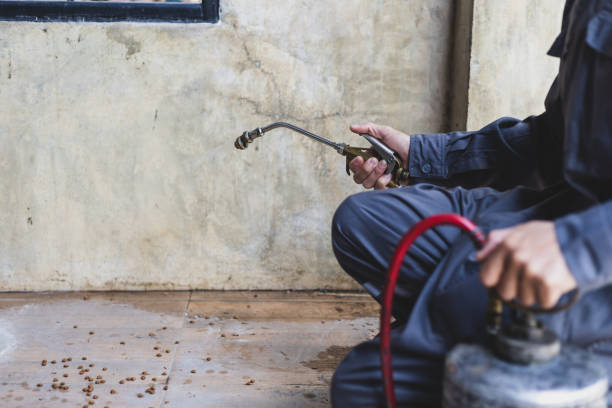 Best Pest Prevention Services  in Lakeland, TN